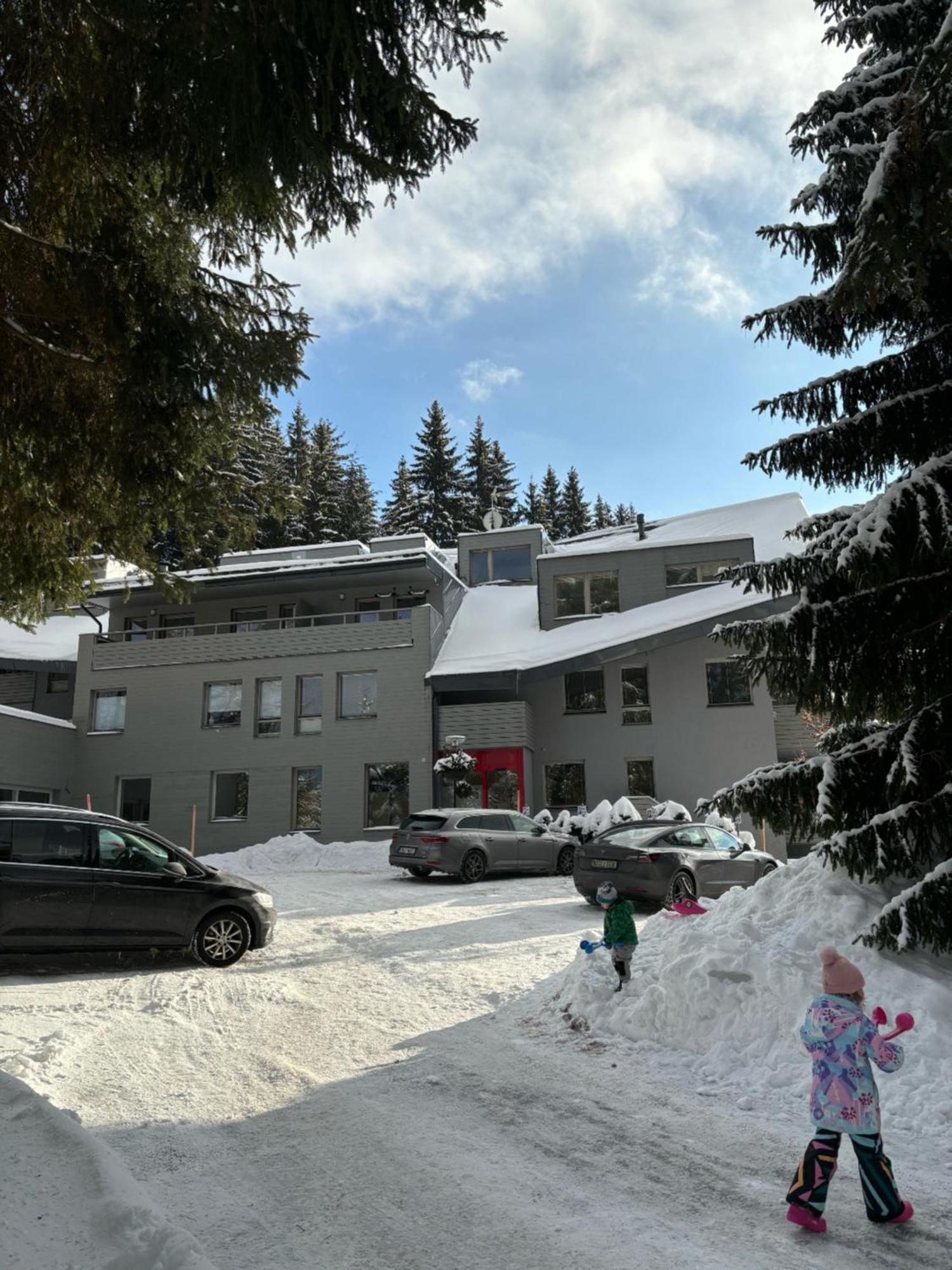 Spirit Harrachov Superior Wellness Apartments - Free Wellness, Wifi, Parking, Harrachov Card Extérieur photo