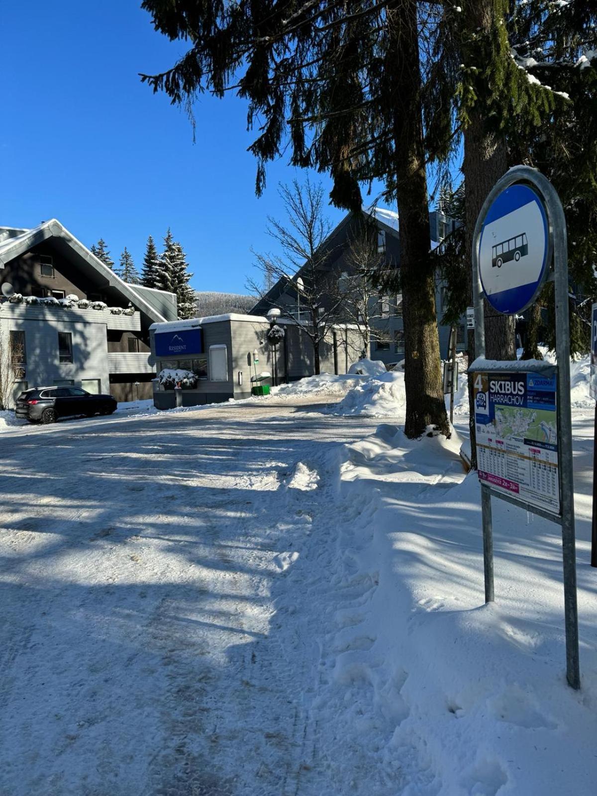 Spirit Harrachov Superior Wellness Apartments - Free Wellness, Wifi, Parking, Harrachov Card Extérieur photo