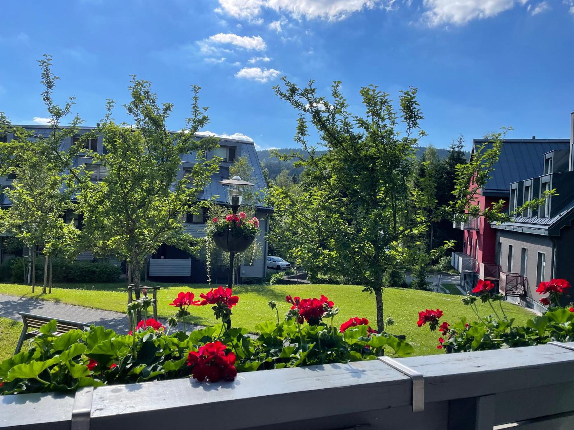 Spirit Harrachov Superior Wellness Apartments - Free Wellness, Wifi, Parking, Harrachov Card Extérieur photo