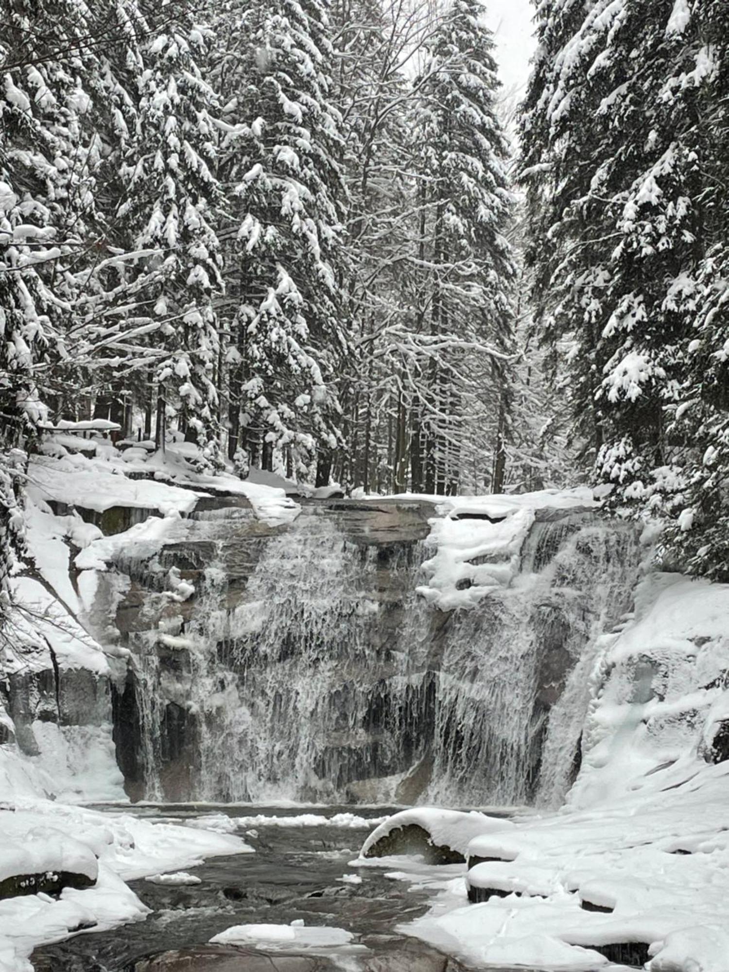 Spirit Harrachov Superior Wellness Apartments - Free Wellness, Wifi, Parking, Harrachov Card Extérieur photo