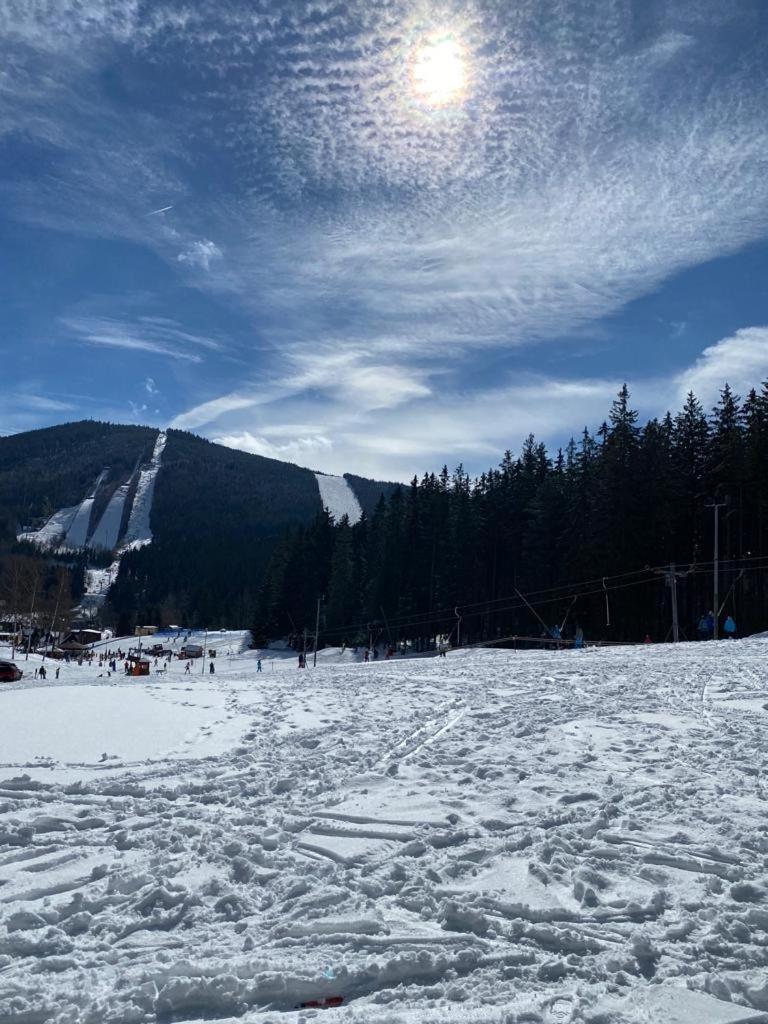 Spirit Harrachov Superior Wellness Apartments - Free Wellness, Wifi, Parking, Harrachov Card Extérieur photo