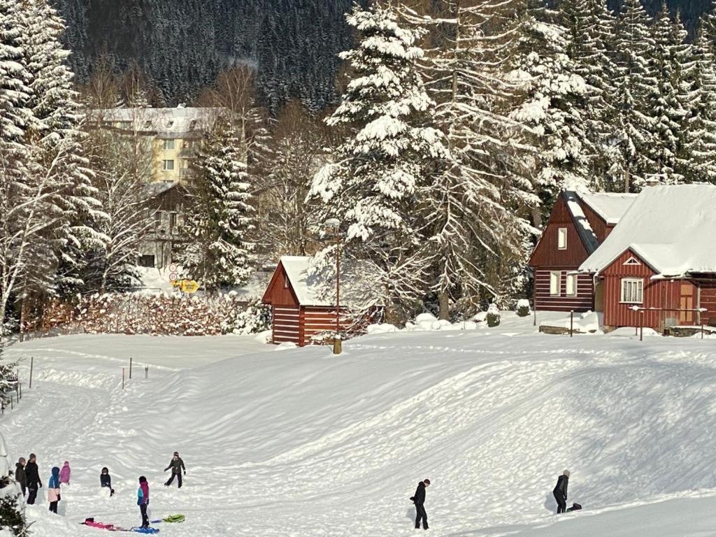 Spirit Harrachov Superior Wellness Apartments - Free Wellness, Wifi, Parking, Harrachov Card Extérieur photo
